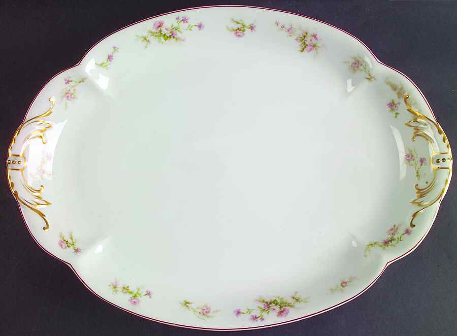 H933 16" Oval Serving Platter by Haviland-1