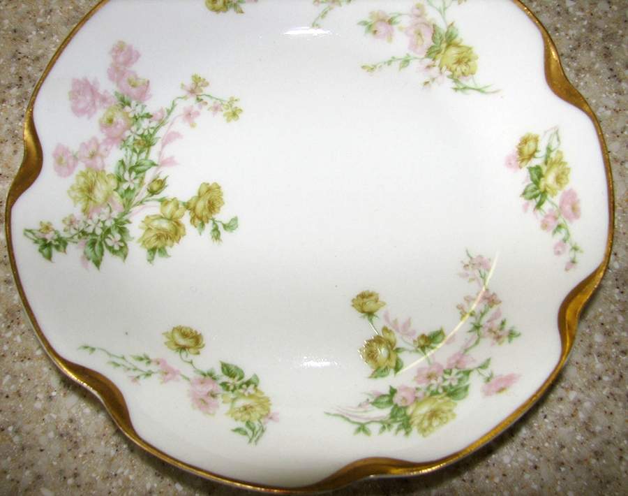 Schleiger 261h Dinner Plate by Haviland-1