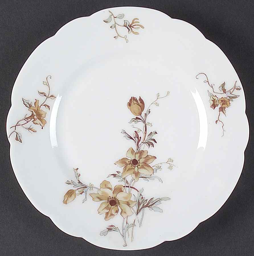 Schleiger 1154f Salad Plate by Haviland-1