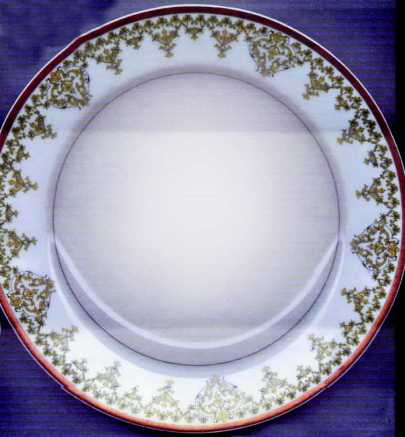 Schleiger 1197 Dinner Plate by Haviland-1