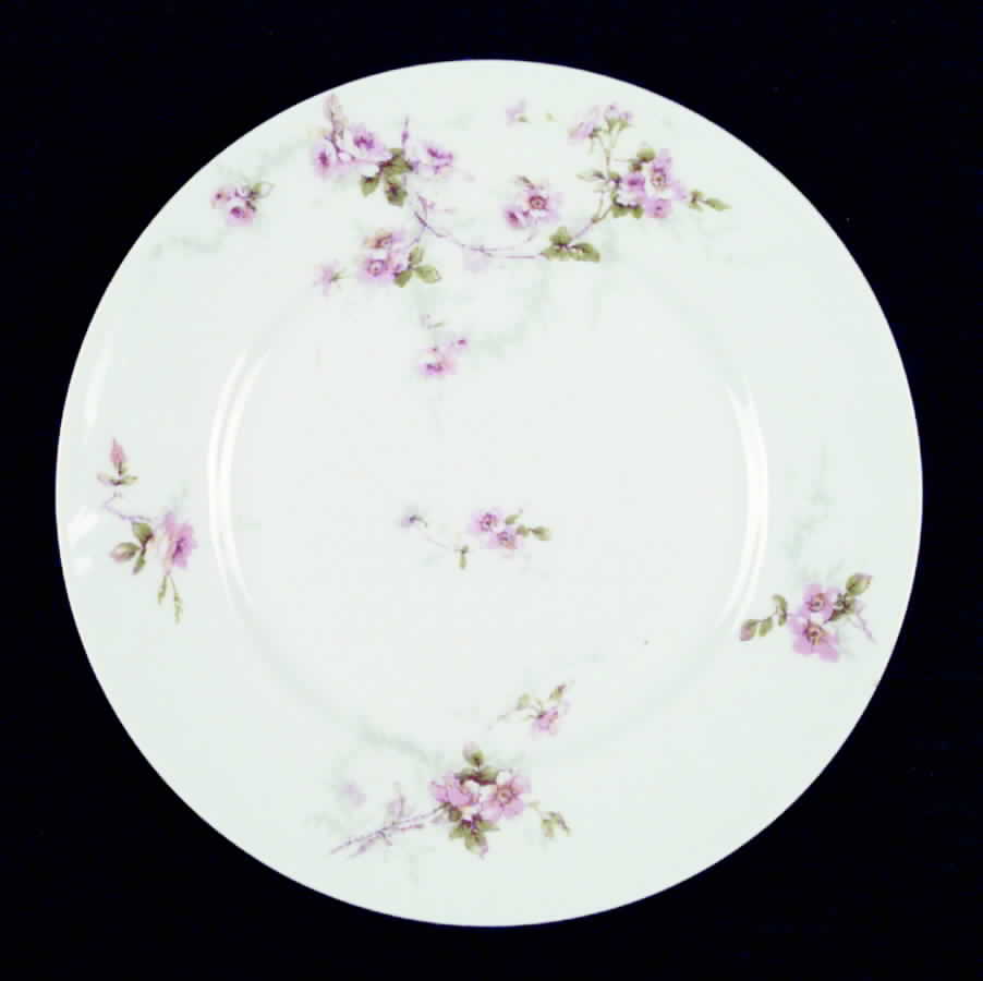 Schleiger 141-5 Salad Plate by Haviland-1