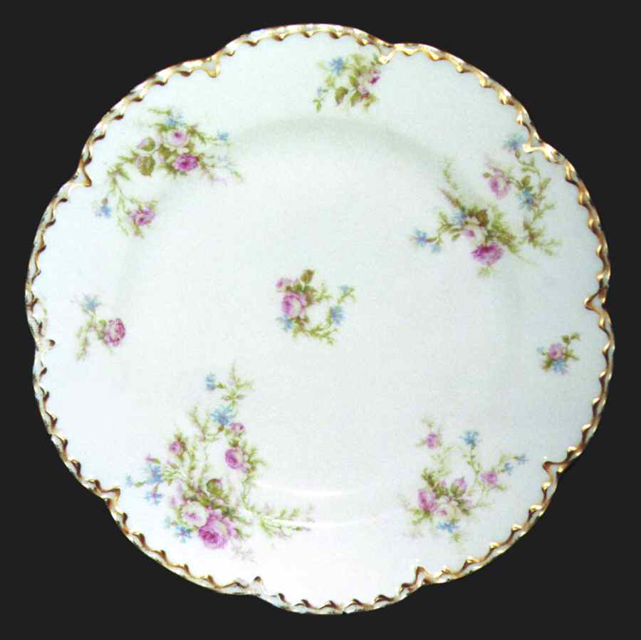 Schleiger 53-1 Dinner Plate by Haviland-1