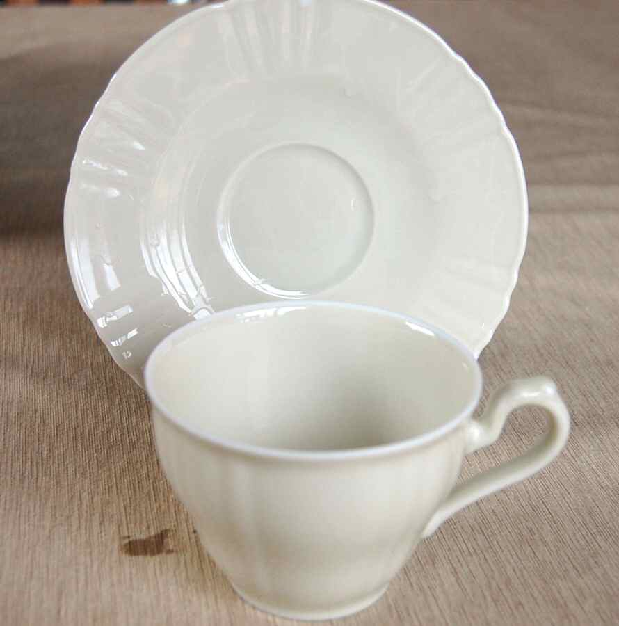 Edinburg Flat Cup & Saucer Set by Hutschenreuther-1