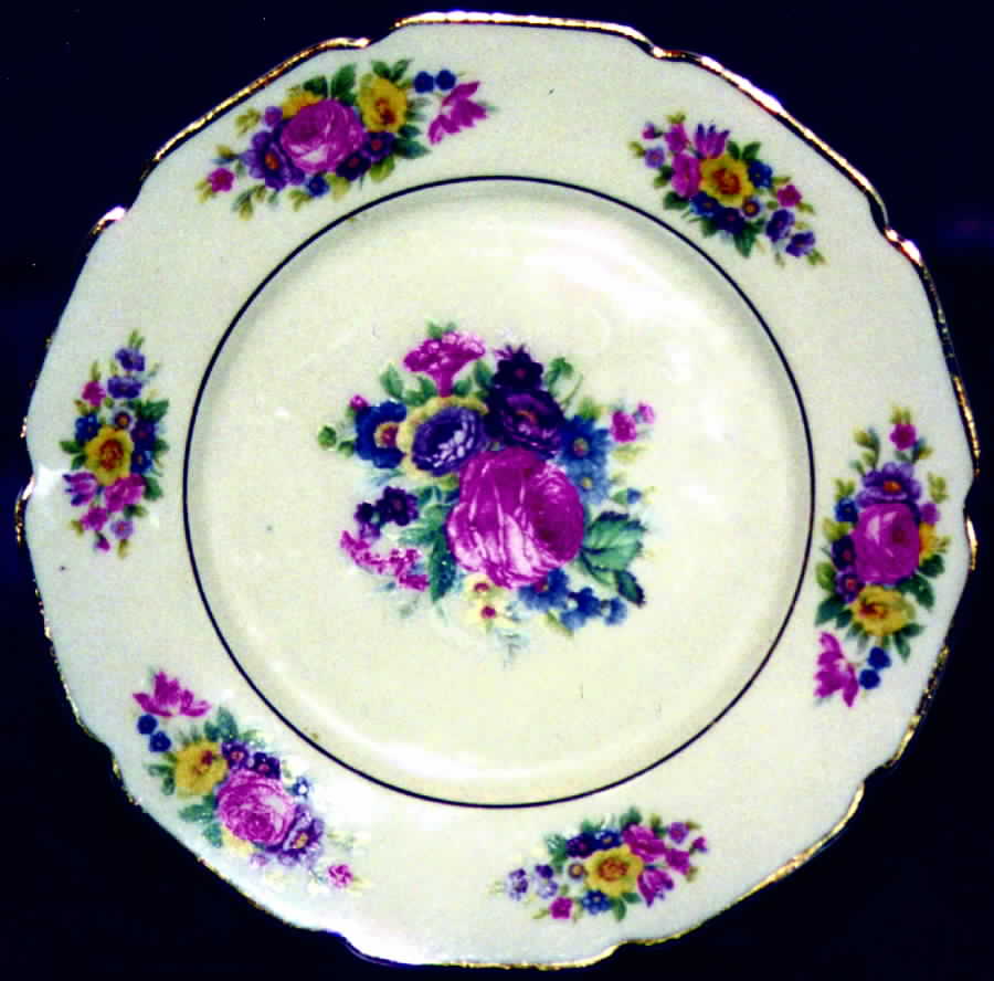 HC564 Dinner Plate by Heinrich - H&C-1