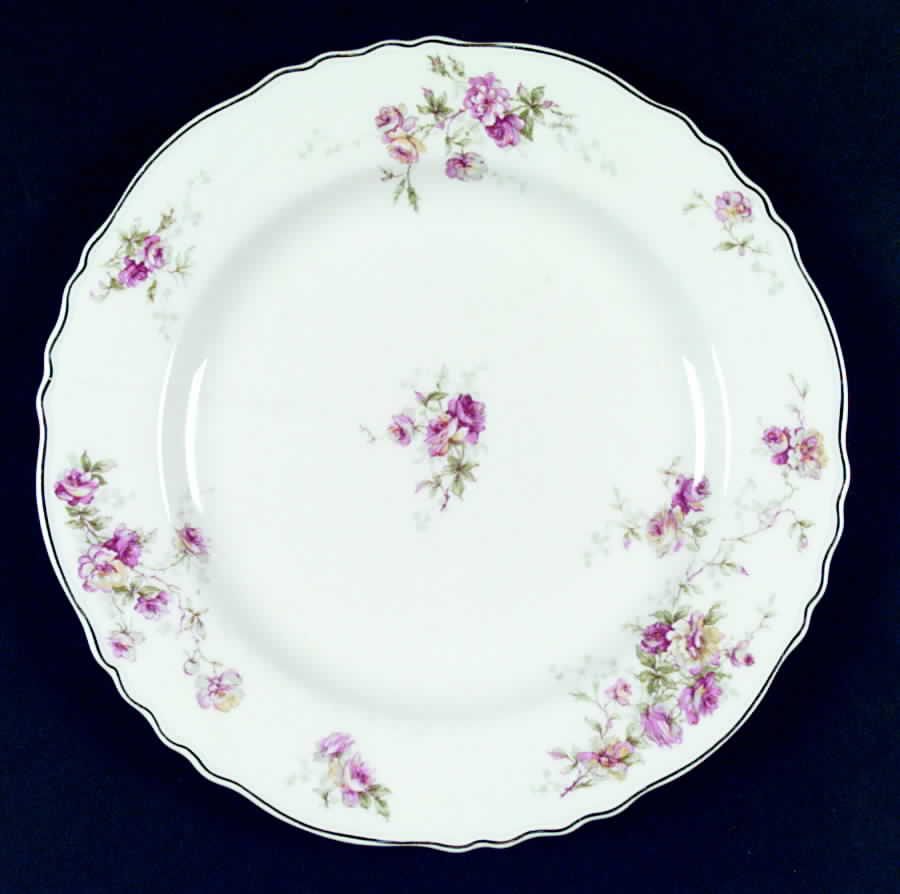 H953 Dinner Plate by Haviland-1