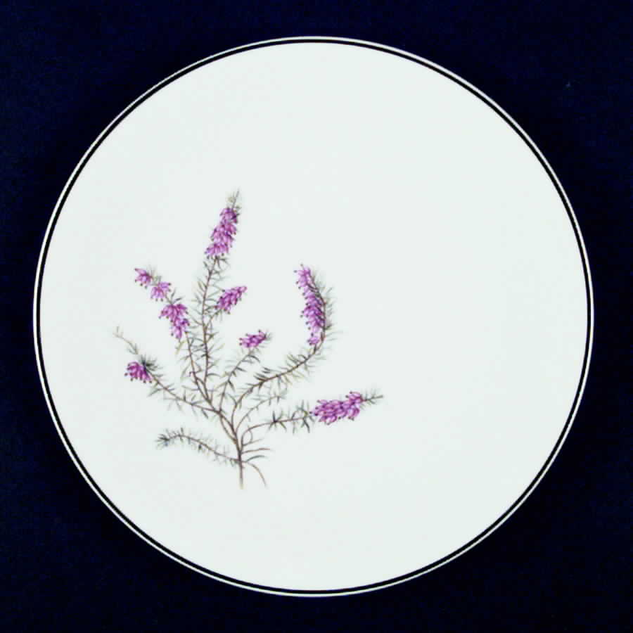 Heather White Coupe Salad Plate by Hutschenreuther-1