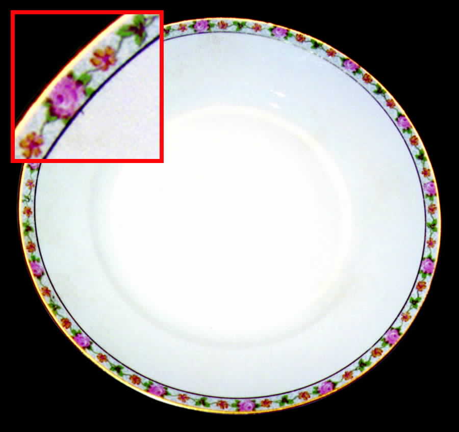 E7505 Dinner Plate by Homer Laughlin -1