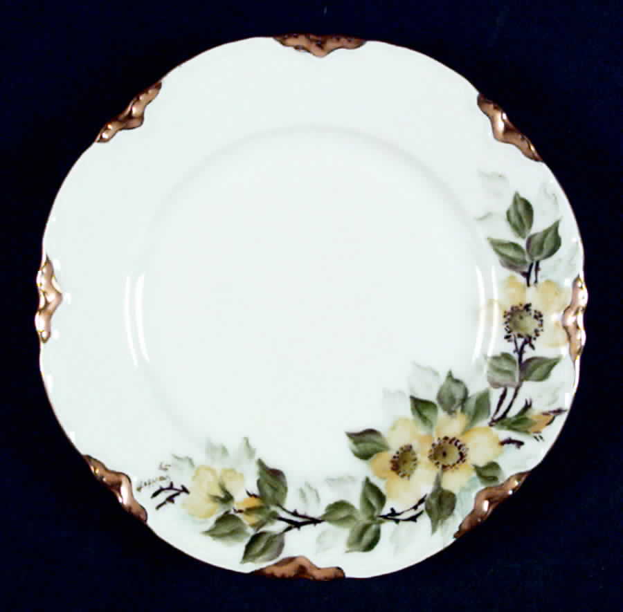 HUT717 Salad Plate by Hutschenreuther-1