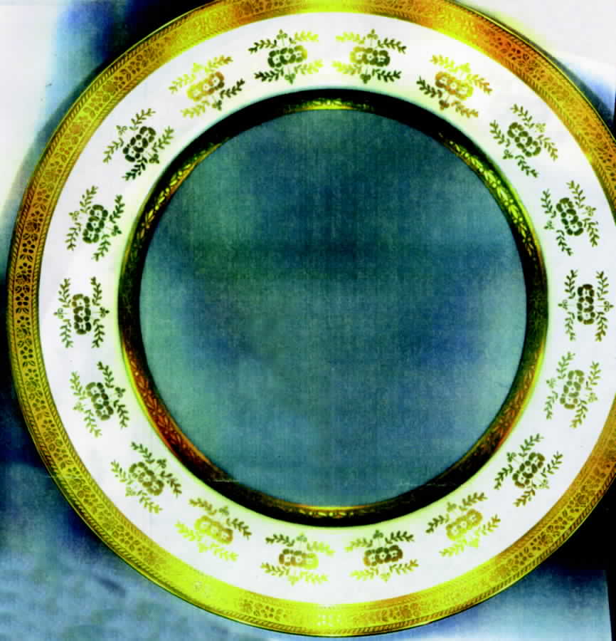 HUT719 Dinner Plate by Hutschenreuther-1