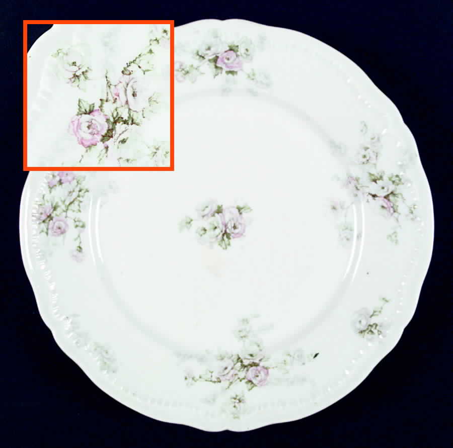 H961 Dinner Plate by Haviland-1