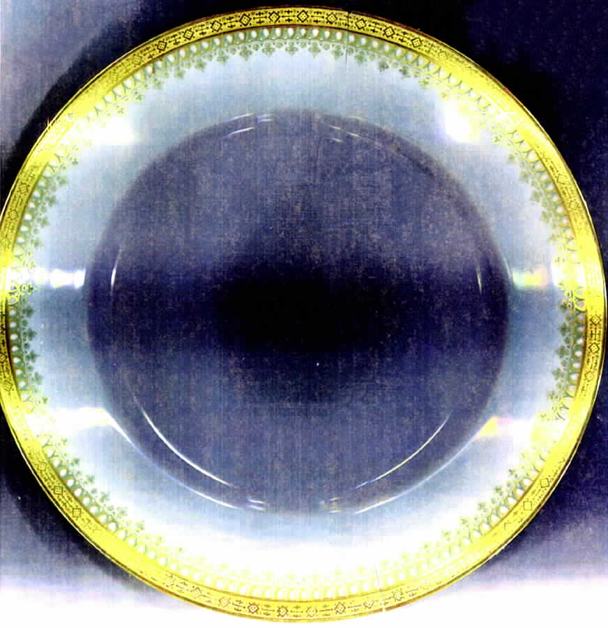 H963 Dinner Plate by Haviland-1