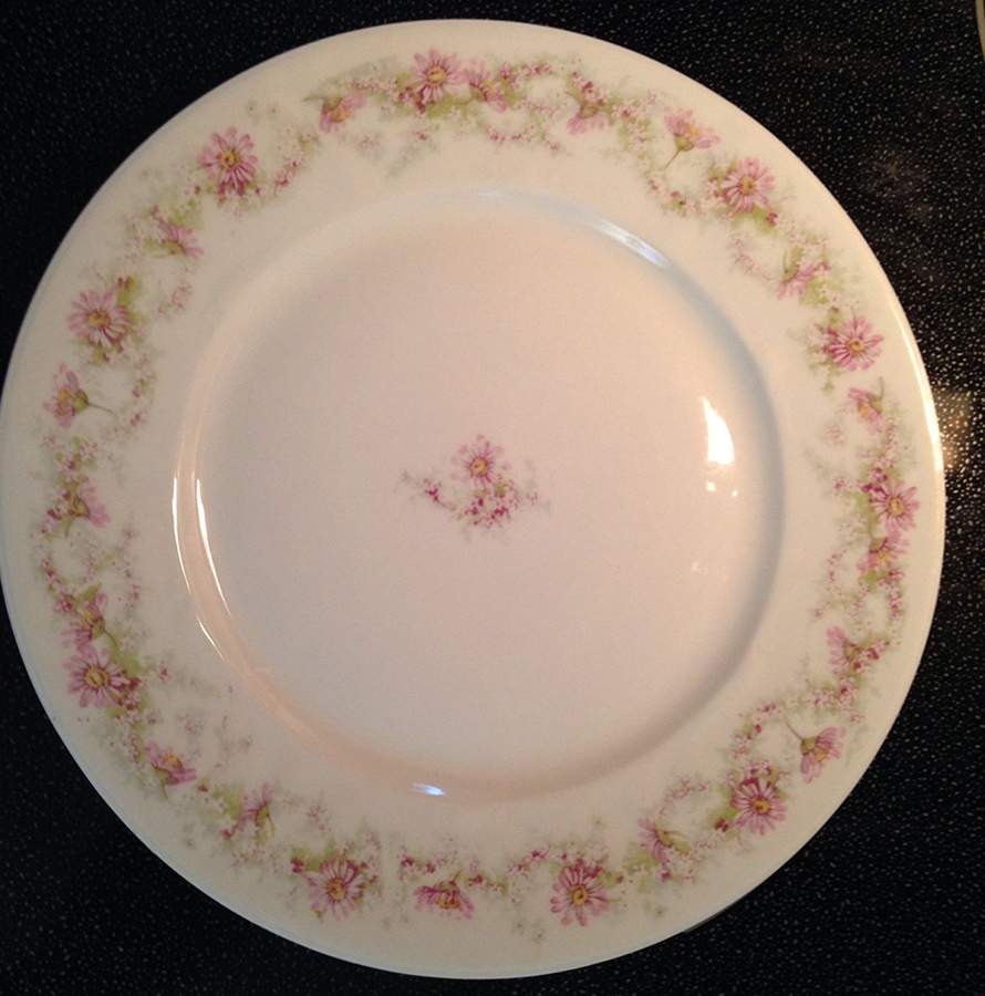 Schleiger 854 Dinner Plate by Haviland-1