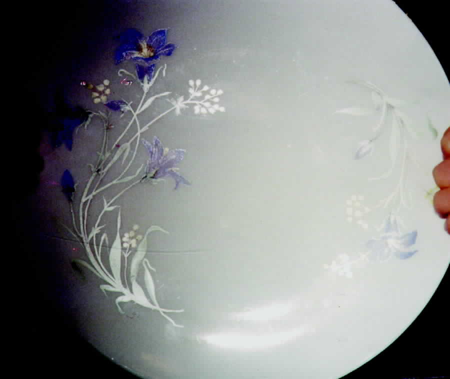 02143 Dinner Plate by Hutschenreuther-1