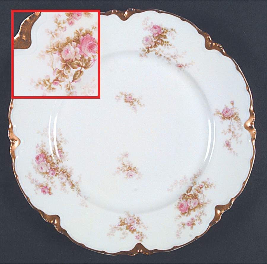 Schleiger 456E Dinner Plate by Haviland-1