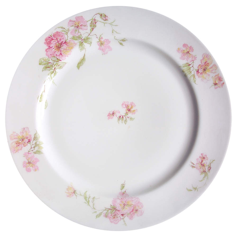 Schleiger 59e Dinner Plate by Haviland-1