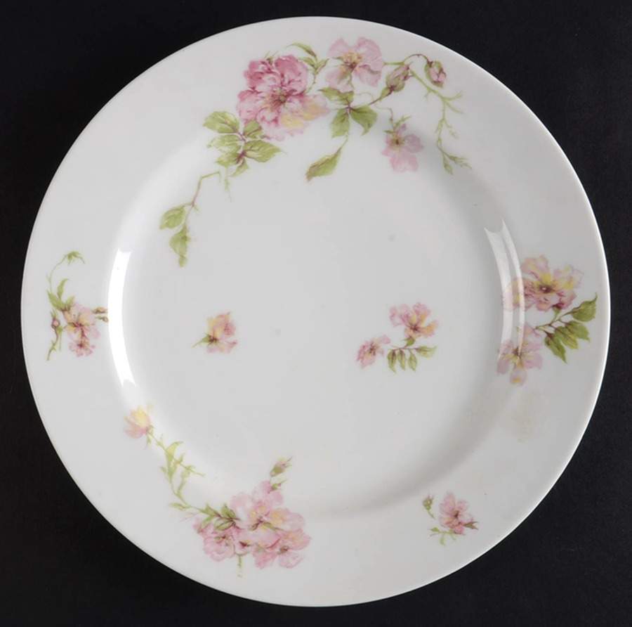 Schleiger 59e Luncheon Plate by Haviland-1