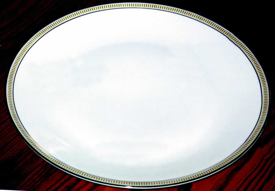 HUT721 Dinner Plate by Hutschenreuther-1