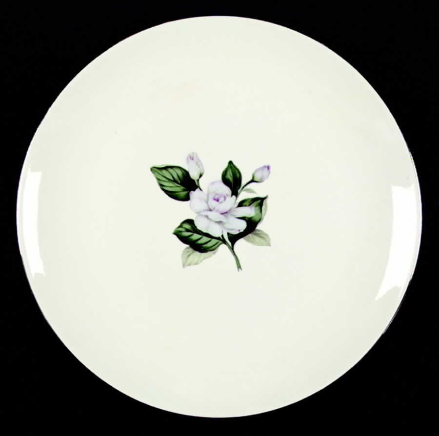 HLC996 Dinner Plate by Homer Laughlin -1
