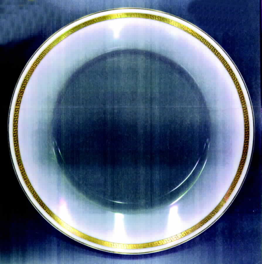 C19135 Dinner Plate by Hutschenreuther-1