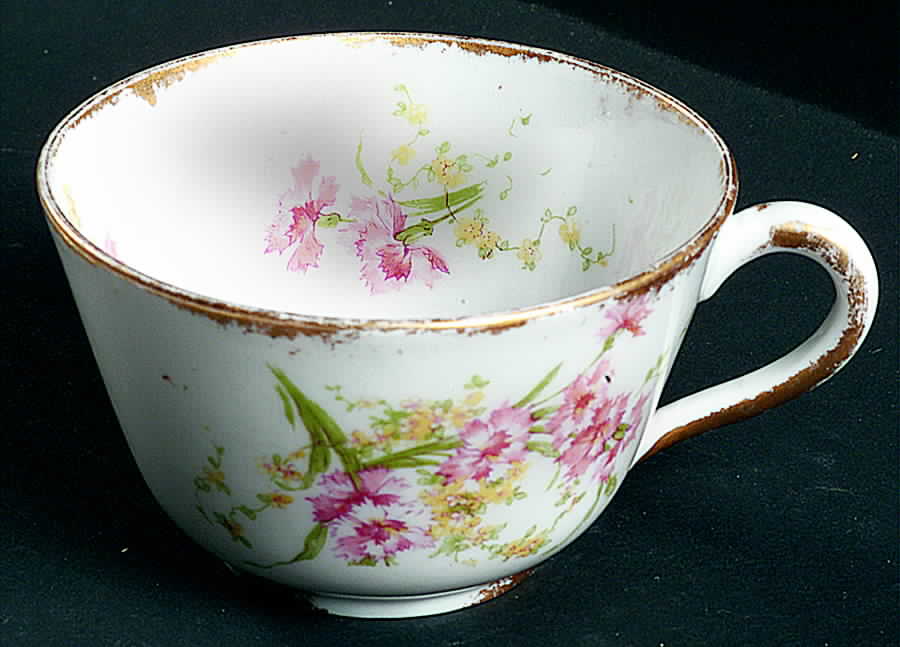 Schleiger 603-4 Flat Cup by Haviland-1