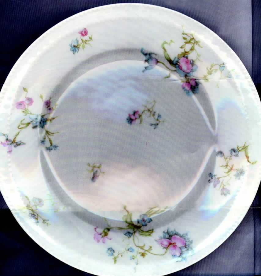 Schleiger 663c Luncheon Plate by Haviland-1
