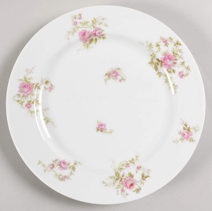 Schleiger 49-3 Dinner Plate by Haviland-1