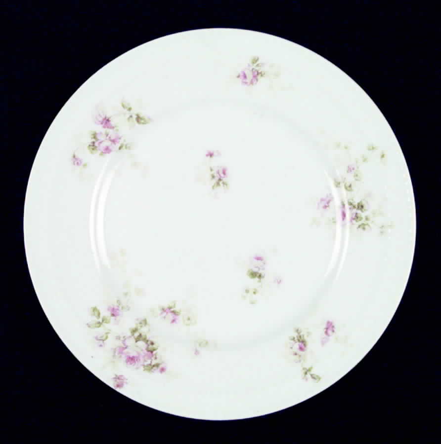 Schleiger 49-3 Salad Plate by Haviland-1