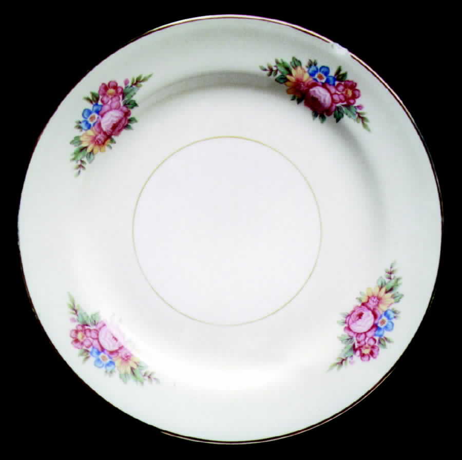 N1745 Dinner Plate by Homer Laughlin -1
