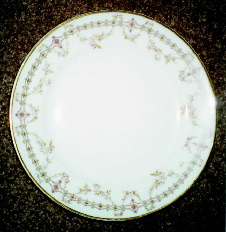 H985 Dinner Plate by Haviland-1