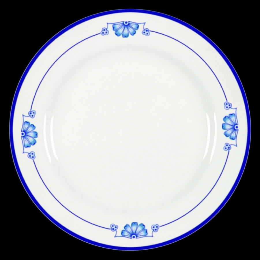 HLC292 Dinner Plate by Homer Laughlin -1