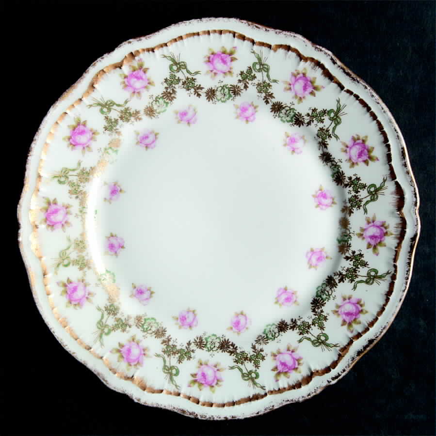 H973 Salad Plate by Haviland-1