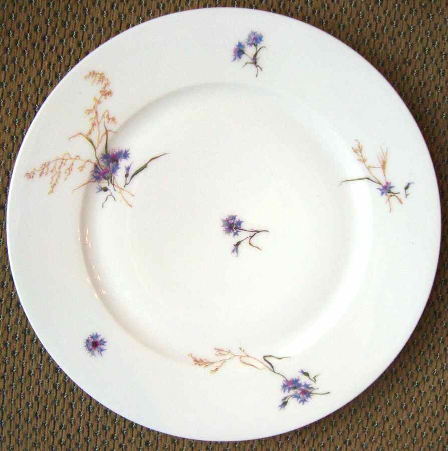 Schleiger 435 Dinner Plate by Haviland-1