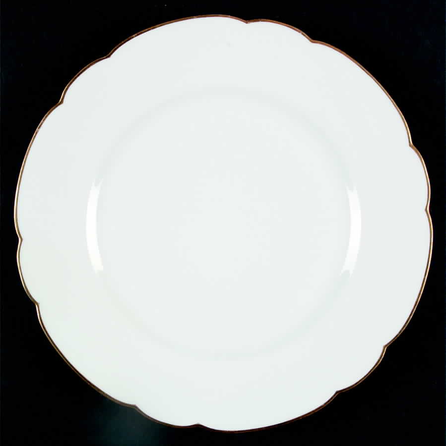 Schleiger 21 Dinner Plate by Haviland-1