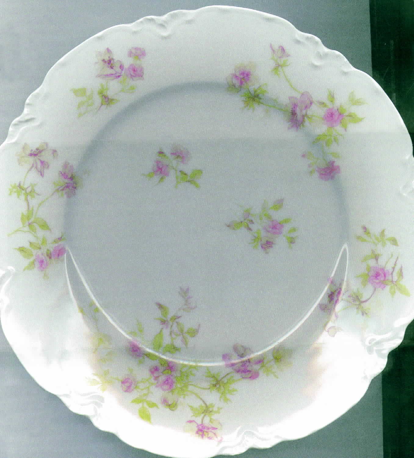 Schleiger 660 Dinner Plate by Haviland-1