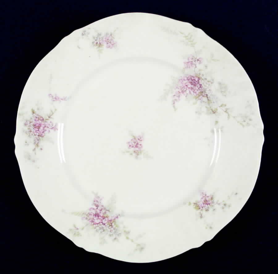 Schleiger 332-1 Dinner Plate by Haviland-1