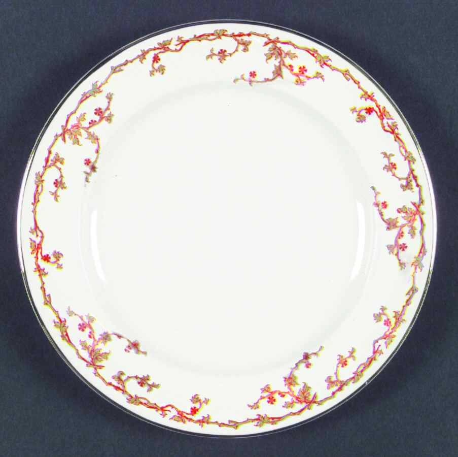 H995 Bread & Butter Plate by Haviland-1