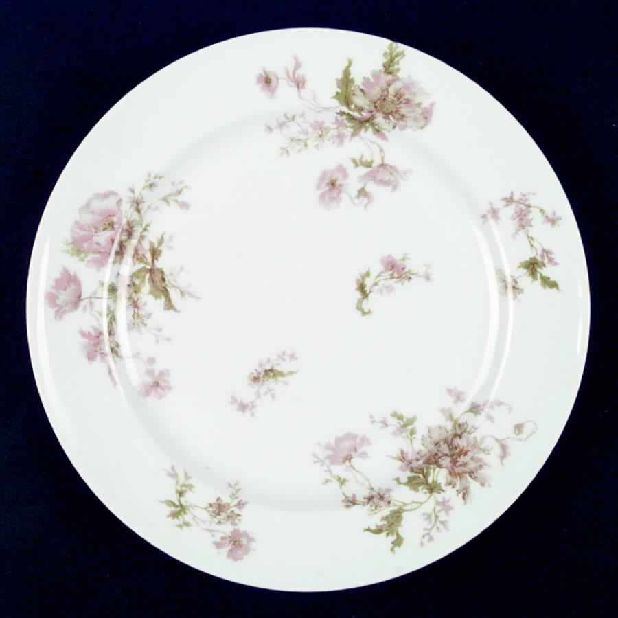 Schleiger 79a Dinner Plate by Haviland-1