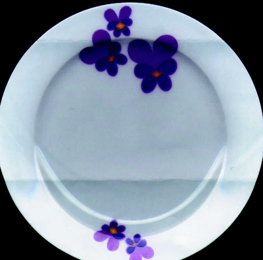 HC581 Dinner Plate by Heinrich - H&C-1