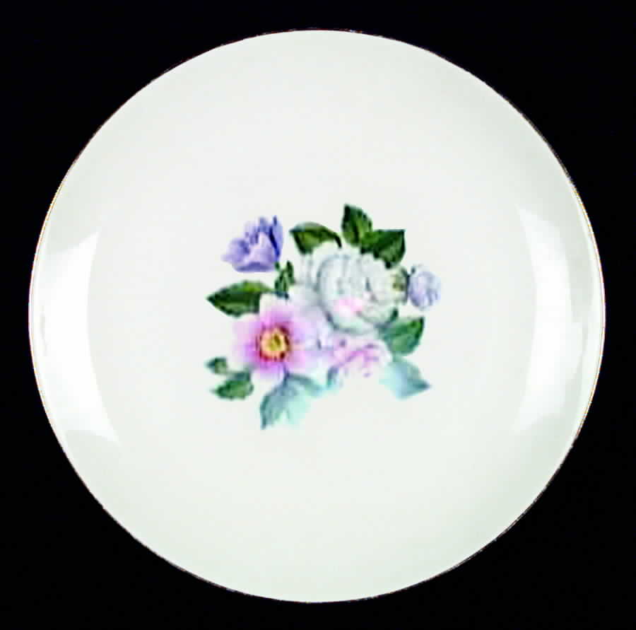 HLC1008 Dinner Plate by Homer Laughlin -1