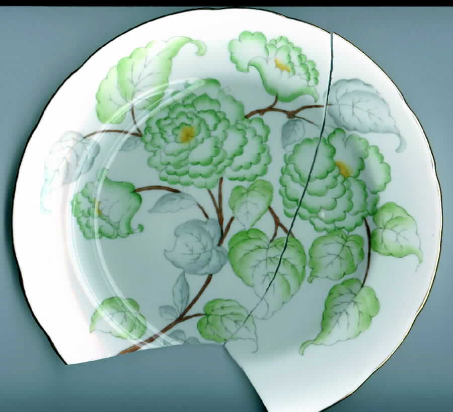HAM47 Dinner Plate by Hammersley-1