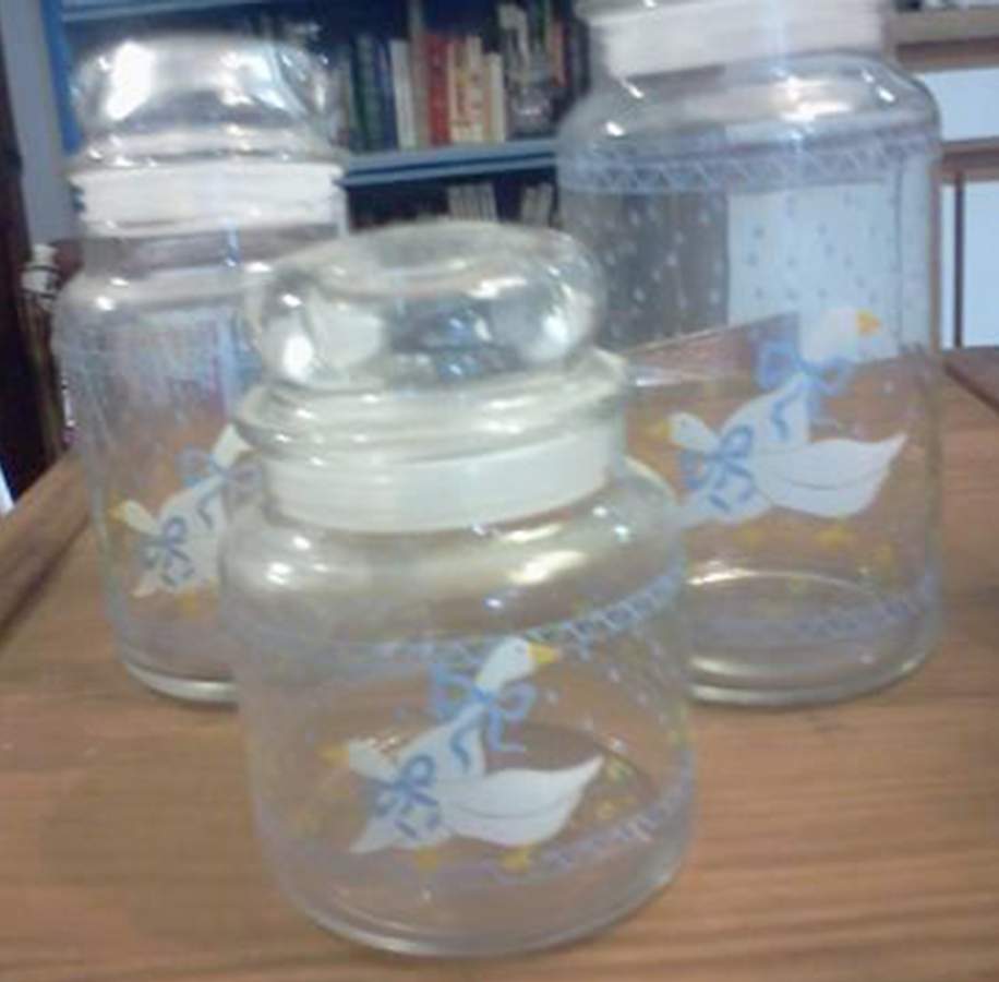 Country Goose Medium Glassware Canister by Home Style-1