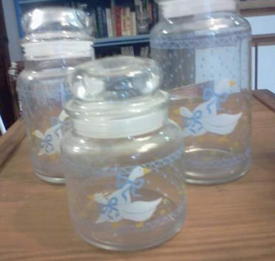 Country Goose Large Glassware Canister by Home Style-1