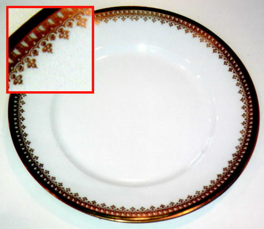 H997 Dinner Plate by Haviland-1