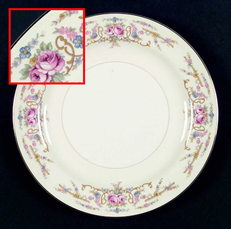 N1646 Dinner Plate by Homer Laughlin -1