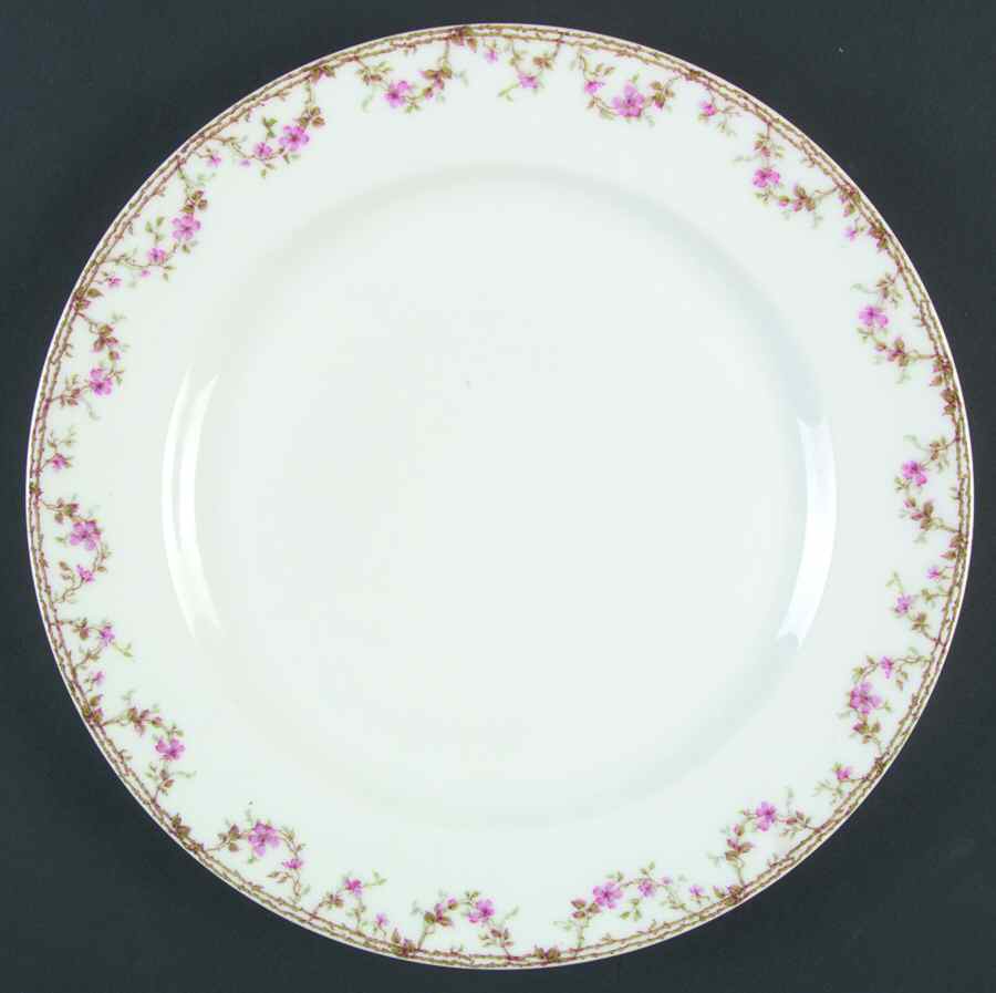 Schleiger 759 Dinner Plate by Haviland-1