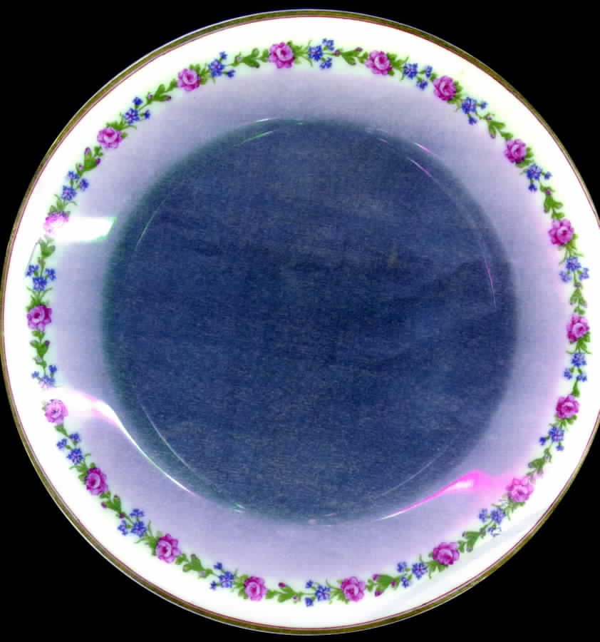 Schleiger 1263-1 Luncheon Plate by Haviland-1