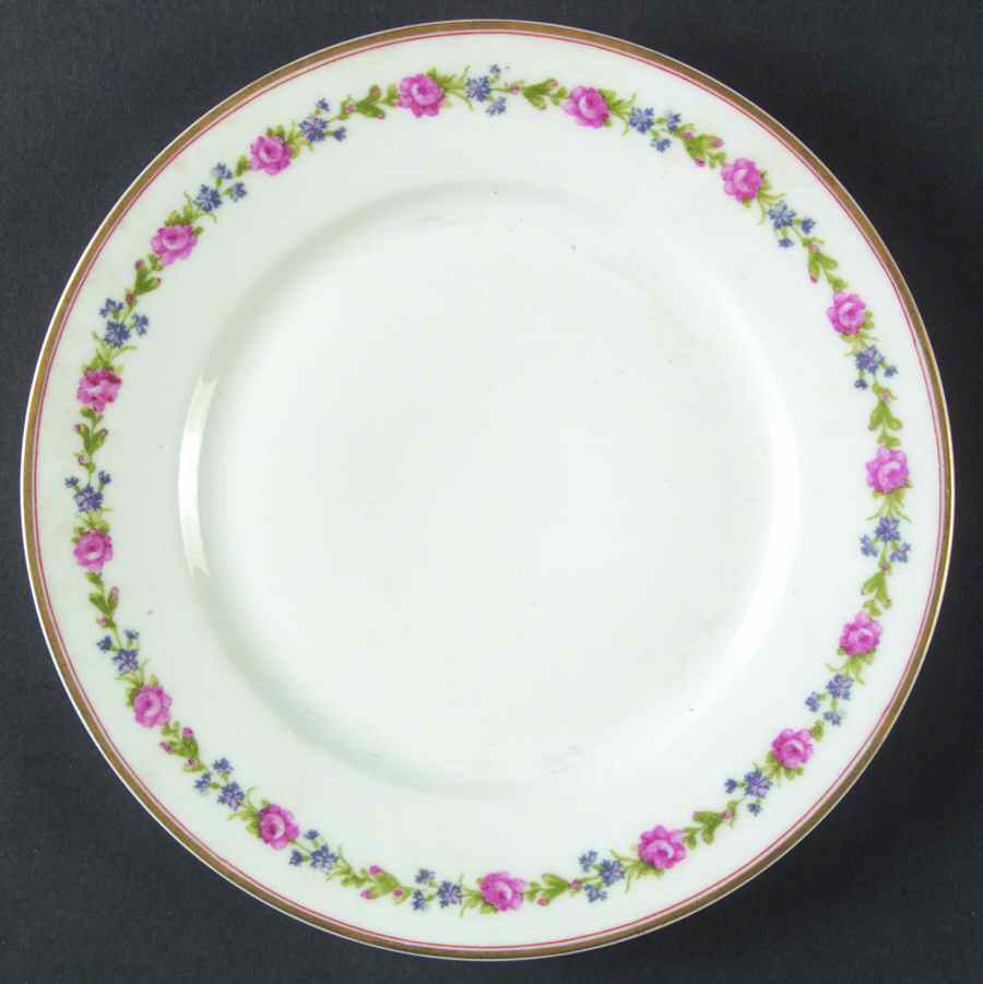 Schleiger 1263-1 Salad Plate by Haviland-1
