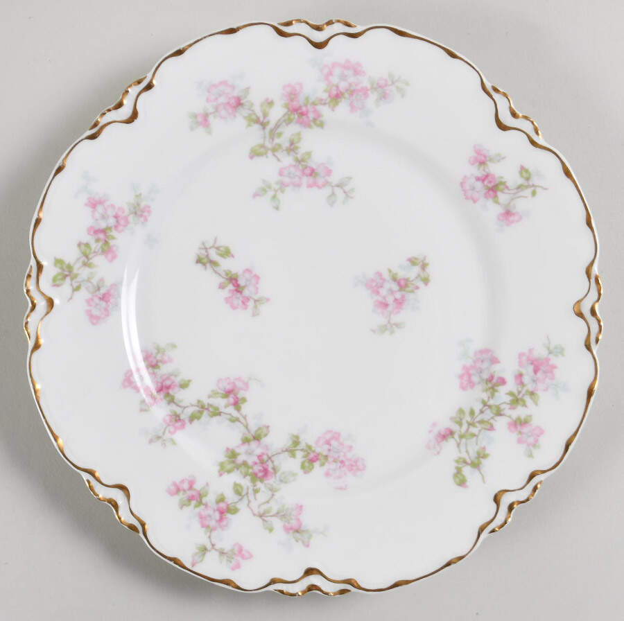 Schleiger 61b Salad Plate by Haviland-1