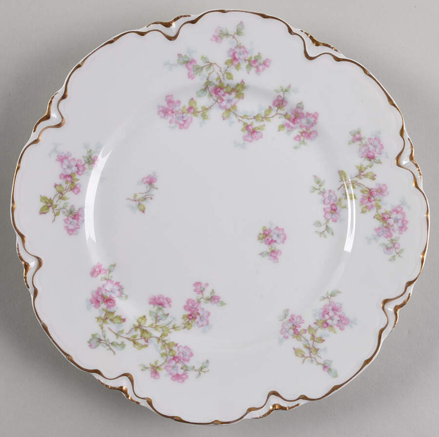 Schleiger 61b Dinner Plate by Haviland-1