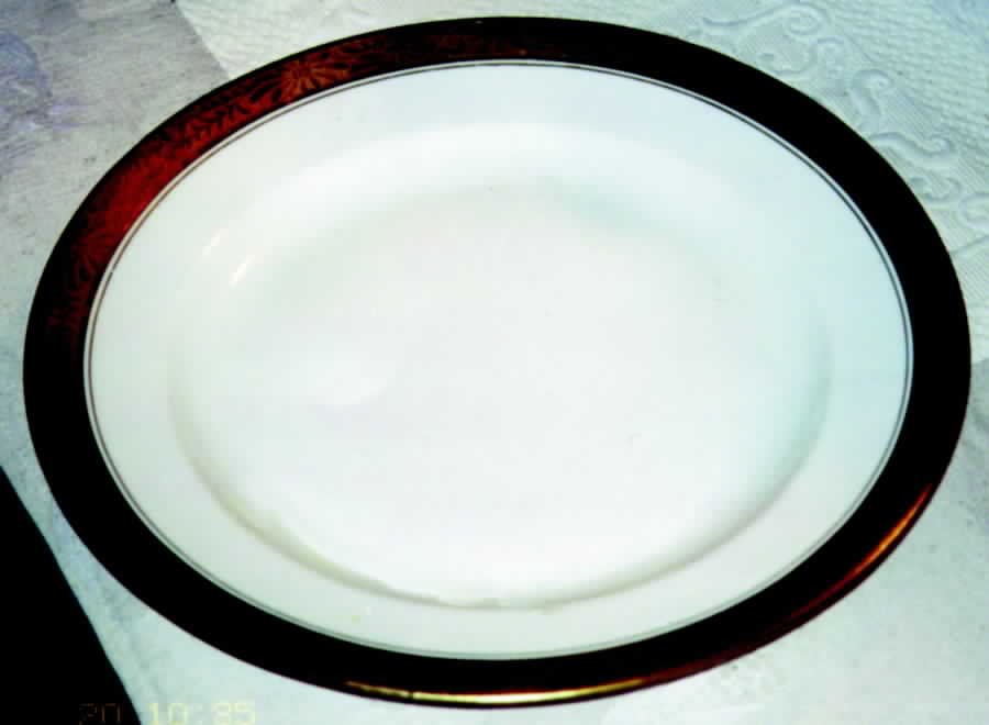 HUT733 Dinner Plate by Hutschenreuther-1